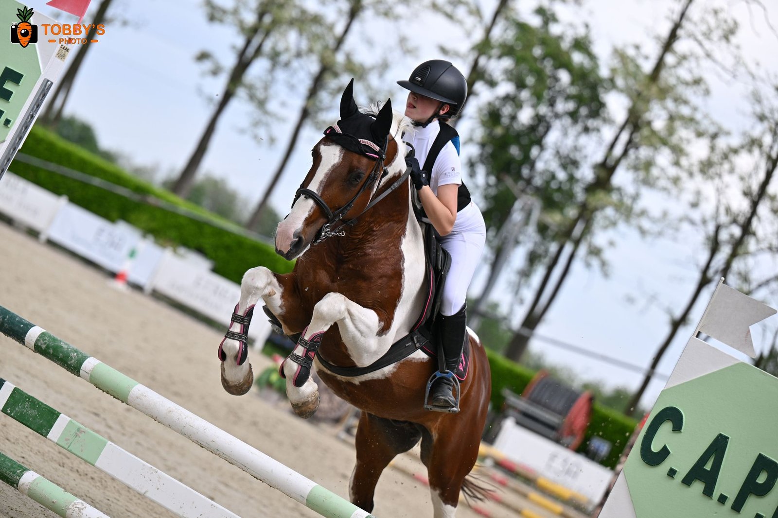 PHOTO-2025-05-05-13-38-18