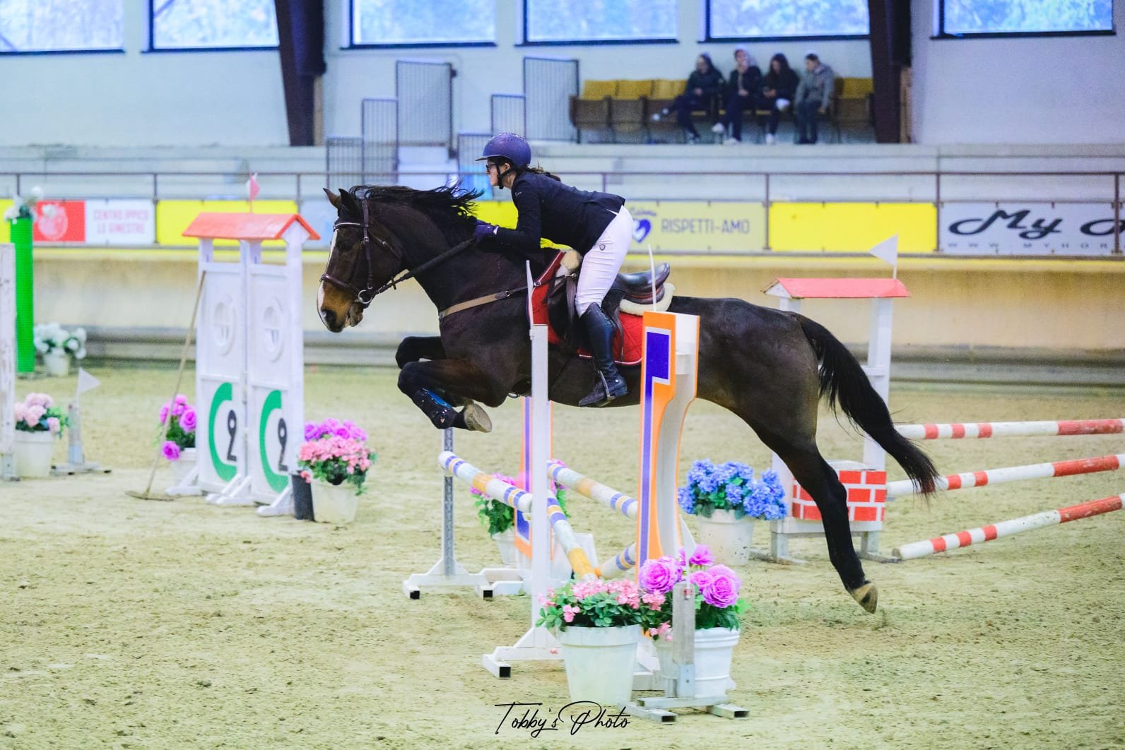 PHOTO-2025-11-17-22-02-49