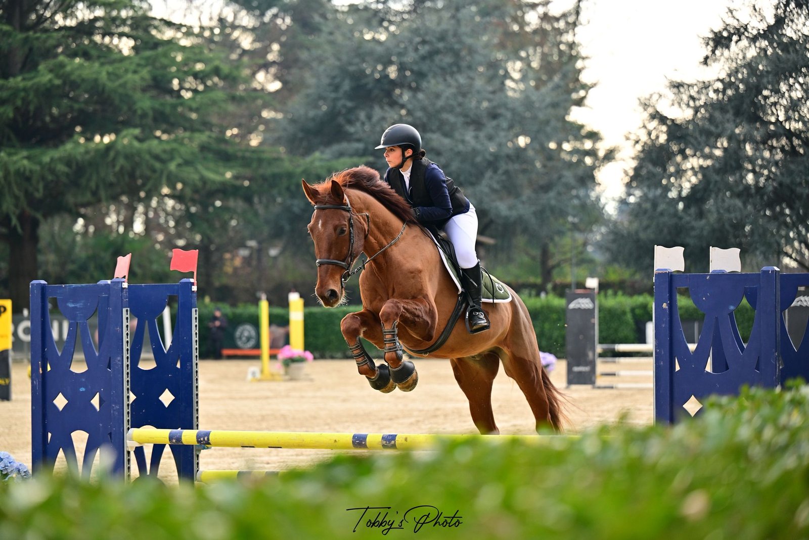 PHOTO-2025-12-07-17-54-10